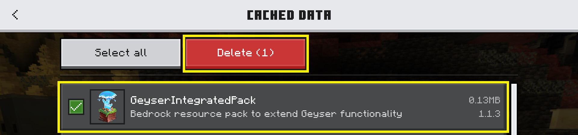 Deleting GeyserIntegratedPack